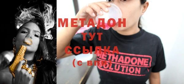сатива Заволжье