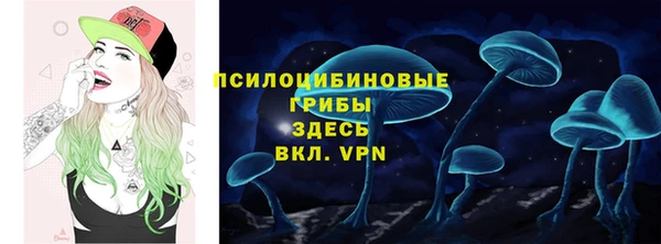 сатива Заволжье