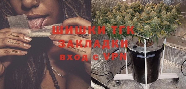 сатива Заволжье
