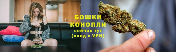сатива Заволжье