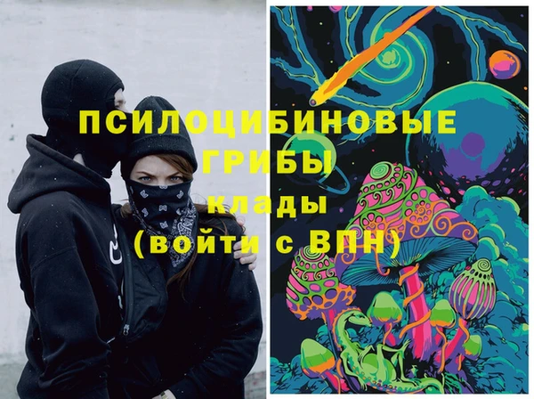 кокаин Заводоуковск